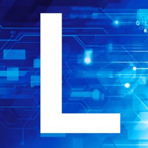 The letter L of the word Link in the Link Formula